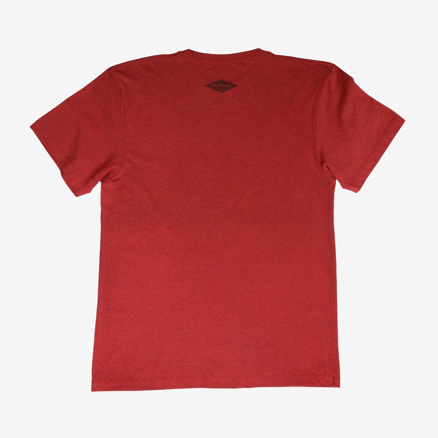 backyard-t-shirt-k9 Shirt_Mtn_Back.jpg